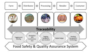 The Importance of food safety and traceability