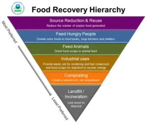 The Role of food waste and food recovery in the food and beverage industry
